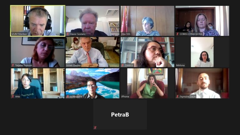 A screen shot of a group of people posing for a photo Description automatically generated