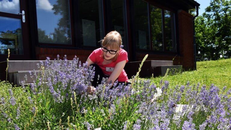 A child in a field of flowers Description automatically generated with medium confidence