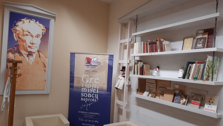 A room with a couch and bookshelves AI-generated content may be incorrect.